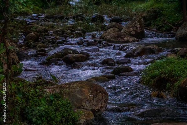 Fototapeta A stream of water flows through a rocky area