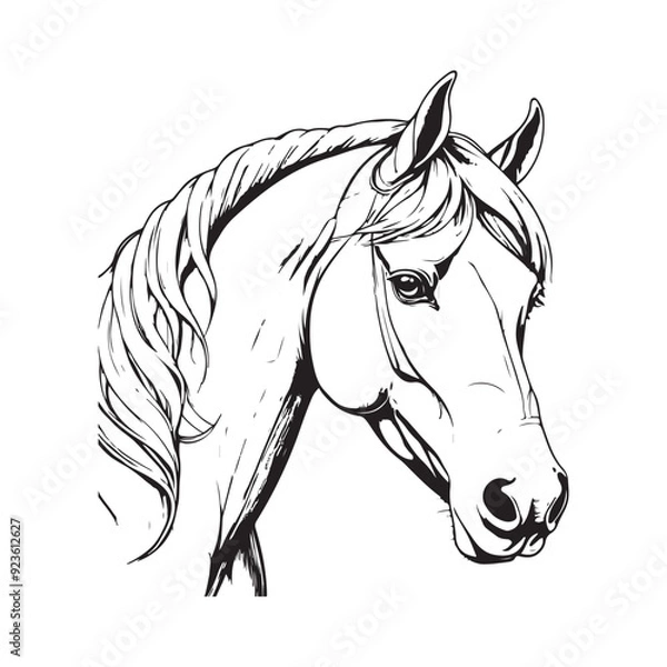 Fototapeta line art horse on white background. sketch style. Vector graphic icon animal.