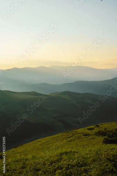 Fototapeta landscape in the mountains silhouettes of mountains, forest, travel, in green tones