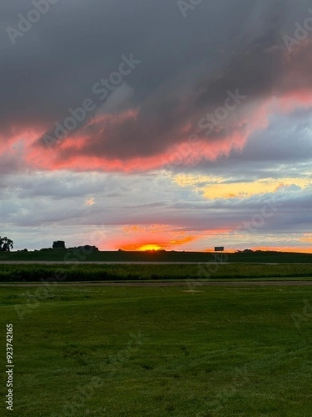 Obraz sunset over the field
