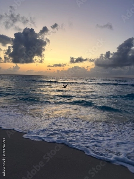 Obraz sunset on the beach