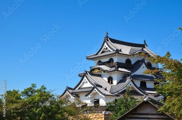 Fototapeta 彦根城