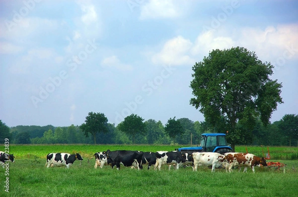 Fototapeta rural scene