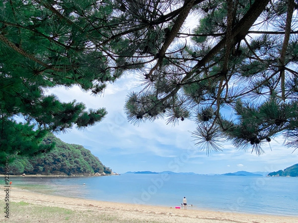 Obraz 瀬戸内海の浜辺