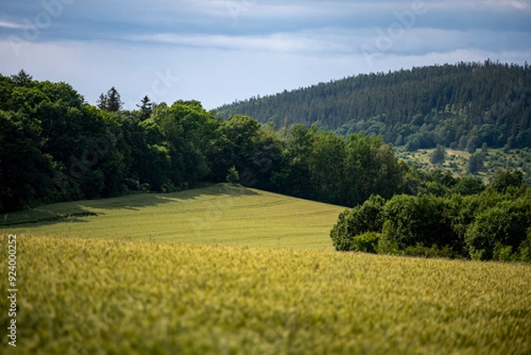 Fototapeta A tranquil countryside scene in central Europe with layers of hills, dense coniferous forests, and a small clearing between the woods. Ideal image for travel, nature, and wellness projects.