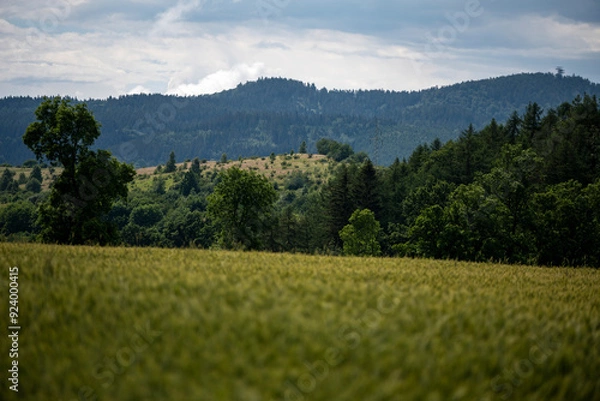 Fototapeta Beautiful nature scene with green fields stretching toward distant tree-covered slopes. The distant silhouette of a mountain peak adds depth and drama to the peaceful scenery.
