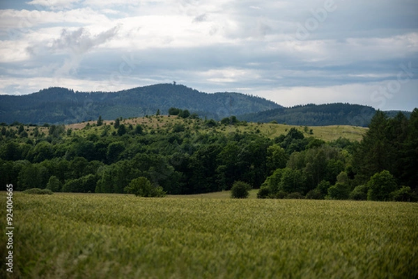 Fototapeta Peaceful rural landscape in summertime, featuring a blurred wildflower in the foreground and a vast forest-covered mountain range in the background. A symbol of simplicity and slow life.