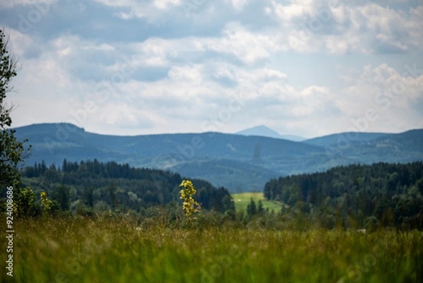 Fototapeta Mountain panorama with lush meadows and deep pine forests bathed in soft summer light. The horizon reveals a hazy peak fading into the sky, evoking serenity and freedom in nature.
