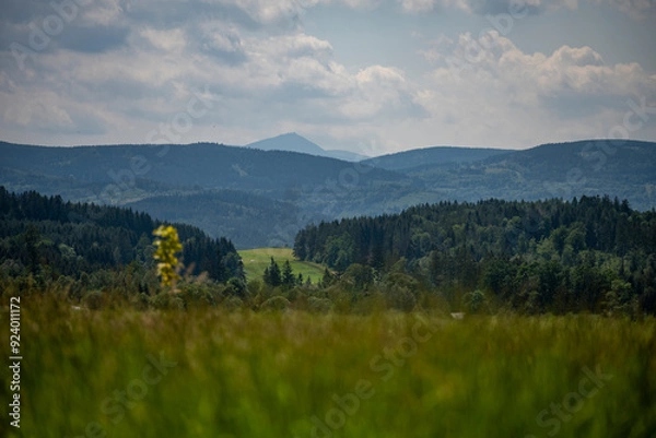 Fototapeta Mountain landscape with forest and meadow in summer – distant peak on the horizon