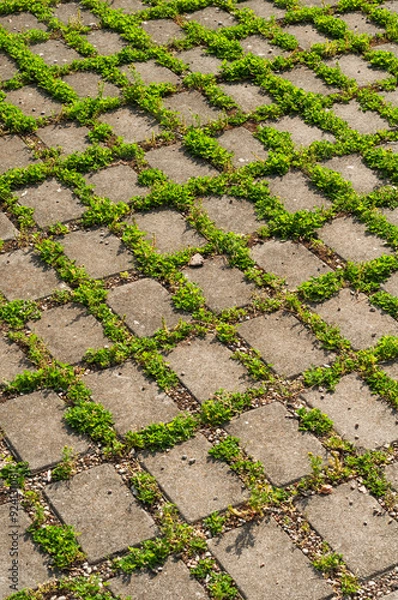 Obraz concrete pavement with grass growing between tiles