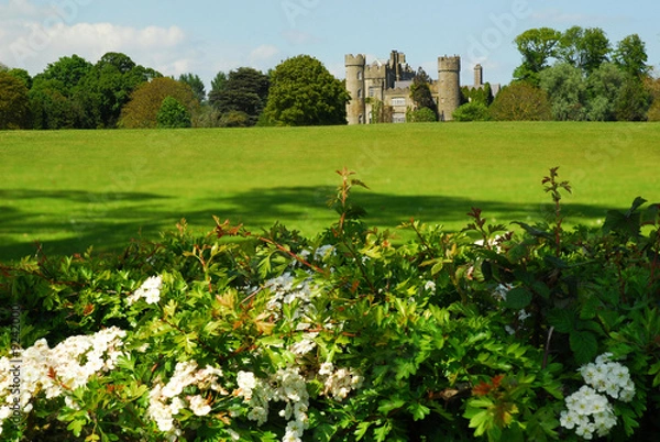 Fototapeta Malahide Castle 2008 3