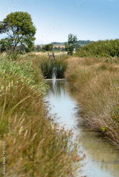 Obraz fossé de marais vendéen