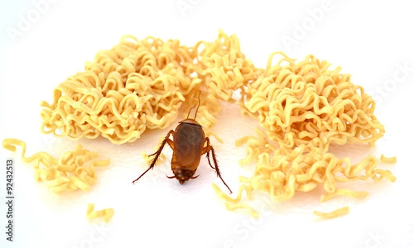 Obraz Cockroach find small piece noodle