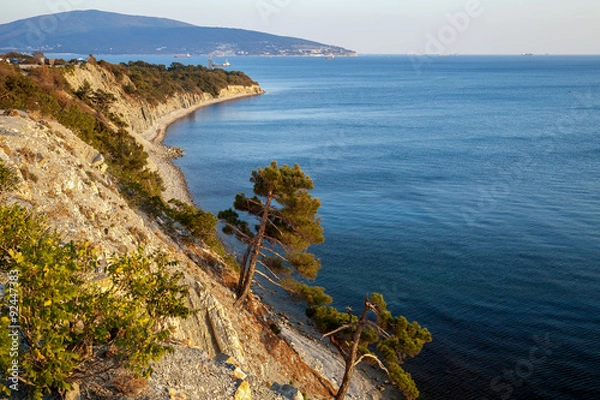 Obraz Сосны на скалистом берегу Черного моря