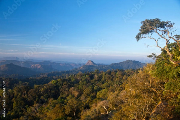 Obraz Karadippara View Point,Munnar,Kerala, India