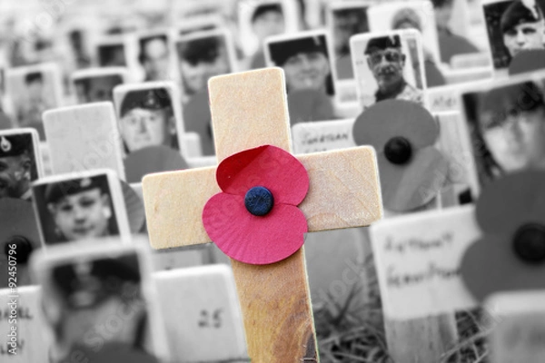 Obraz Poppy Cross, Remembrance day display