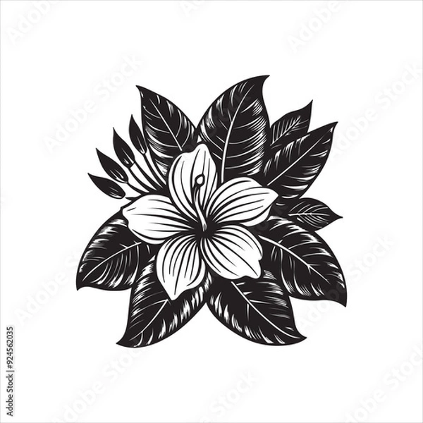 Fototapeta Lily Black And White Vector Images