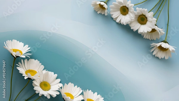 Obraz Daisies on Soft Blue Background