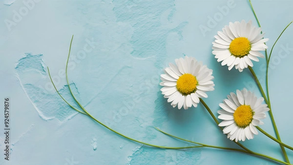 Obraz Daisies on Soft Blue Background