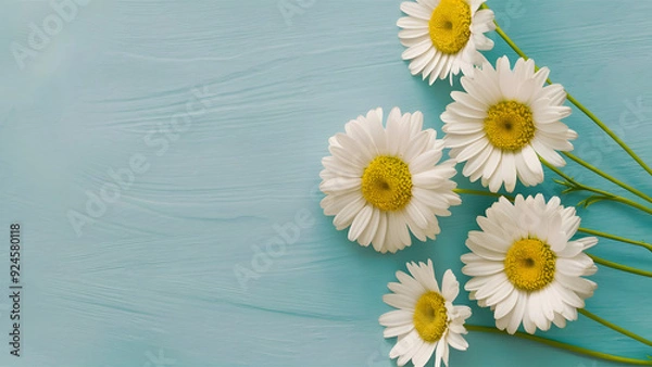Obraz Daisies on Soft Blue Background