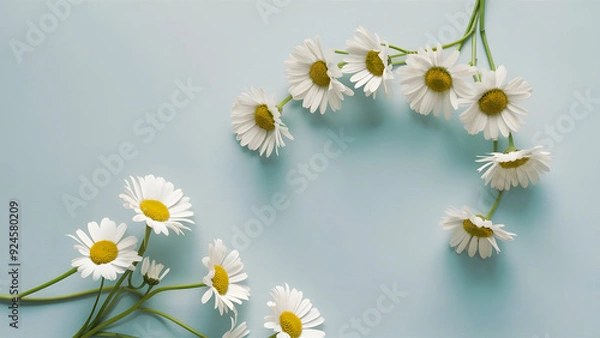 Obraz Daisies on Soft Blue Background