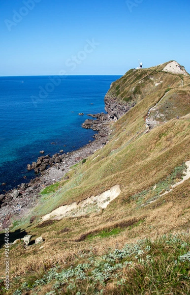 Obraz 積丹半島｜神威岬へ続く「チャレンカの小道」からの眺望、積丹ブルーに染まり絶景です　
