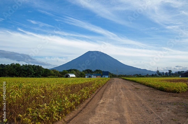 Obraz 羊蹄山｜北海道の広大な大地と秋空に映る山容が美しい