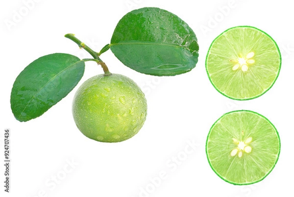 Obraz fresh lime isolate on white