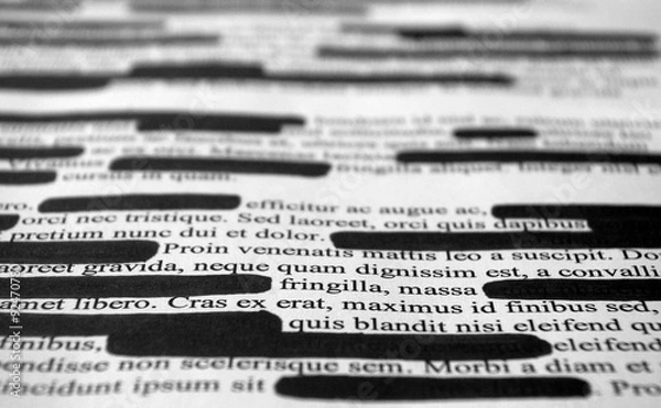 Fototapeta Lorem ipsum text that has been redacted
