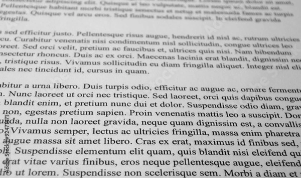 Obraz Lorem Ipsum paragraphs of text type