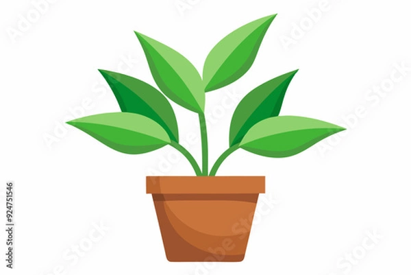 Fototapeta Green plant with five leaves in a brown pot