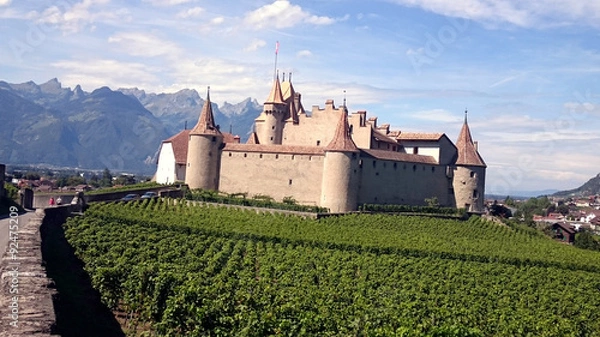 Obraz CHATEAU D'AIGLE