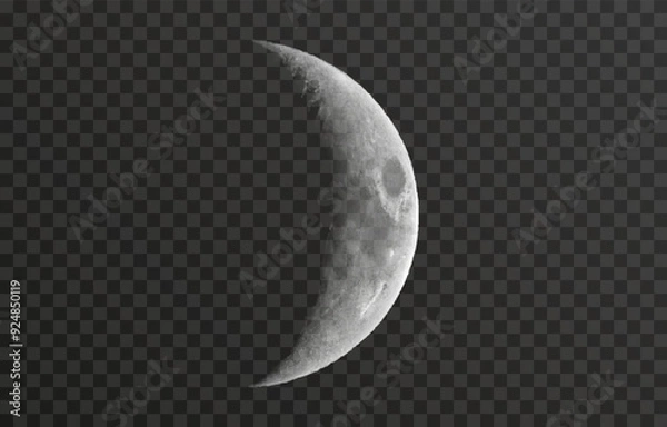 Fototapeta Realistic vector moon on an isolated transparent background. Moon vector png. Dark night with vector real moon.