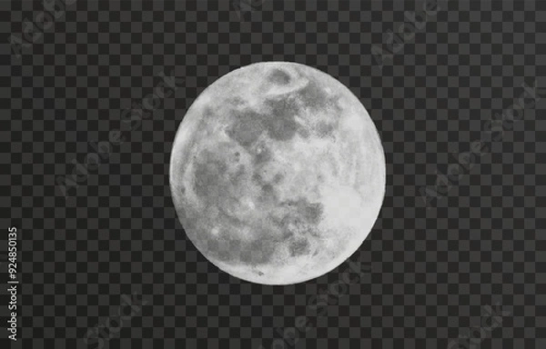 Fototapeta Realistic vector moon on an isolated transparent background. Moon vector png. Dark night with vector real moon.