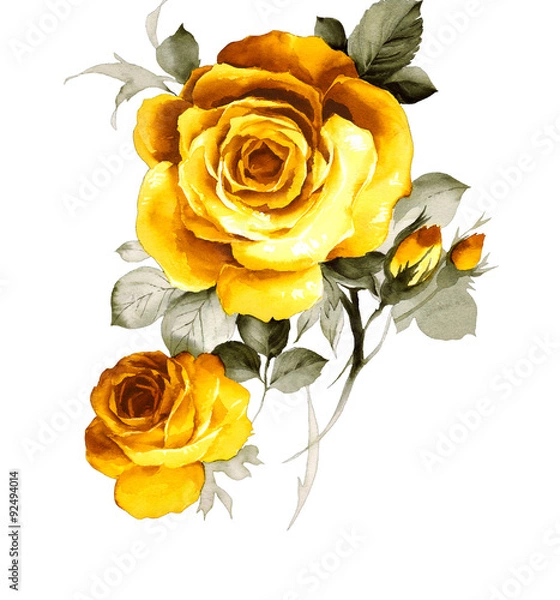 Obraz 황금색 장미와 꽃봉오리의 어울림