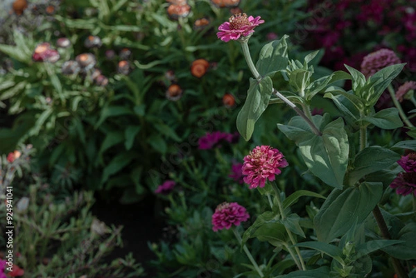 Fototapeta tranquil atmosphere of a lush garden, this image is ideal for wellness retreats or garden relaxation spaces