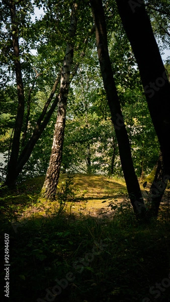 Obraz A path in quarry and forest