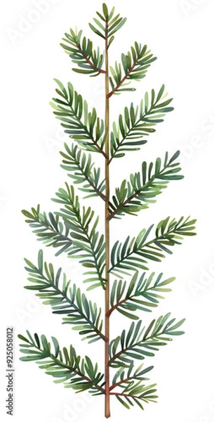 Fototapeta A detailed illustration of a green leaf branch showcasing intricate leaf patterns on a transparent background.