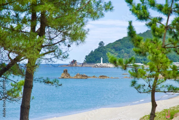 Fototapeta View of Chogok Port Lighthouse through Pine Trees