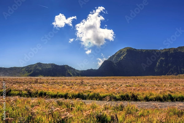 Fototapeta Mount Bromo in summer