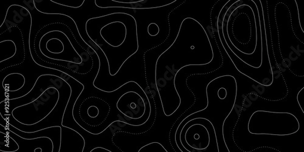 Obraz Abstract lines background. Contour maps. Vector illustration. The stylized height of the topographic map contour in lines and contours isolated on transparent. technology topo landscape grid map text.