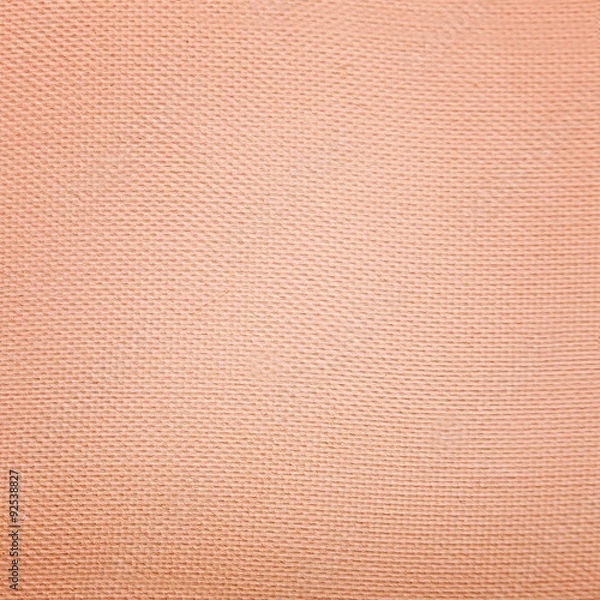 Obraz Powder texture background macro.