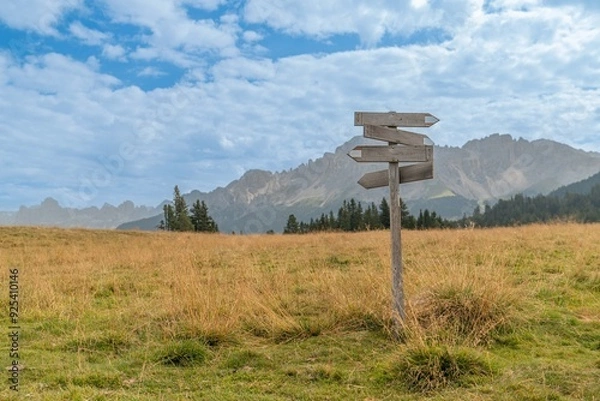 Obraz signpost in the forest