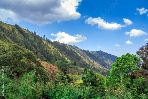 Fototapeta landscape with clouds