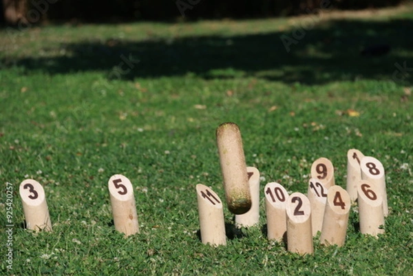 Obraz Jeu de Mölkky