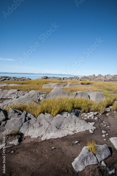 Fototapeta Felsenlandschaft an der Küste mit Gräsern in Kanada 