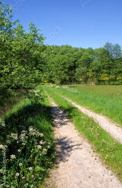 Fototapeta steigerwald5
