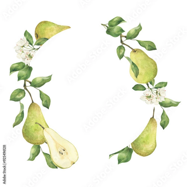 Fototapeta Green pear with flower and leaves watercolor wreath illustration isolated on white. Hand drawn blooming fruit tree and slice label template with copy space for text