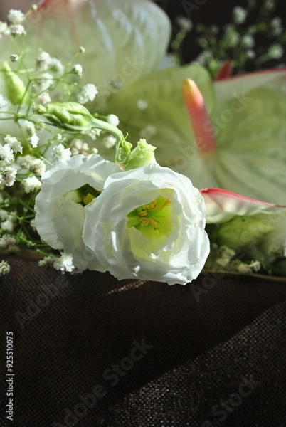 Obraz white chocolate cake with mint