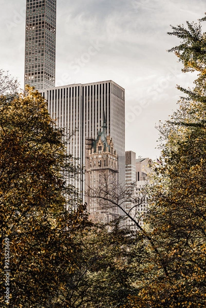 Obraz building in the city